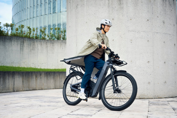 Riese and Muller Electric Bikes