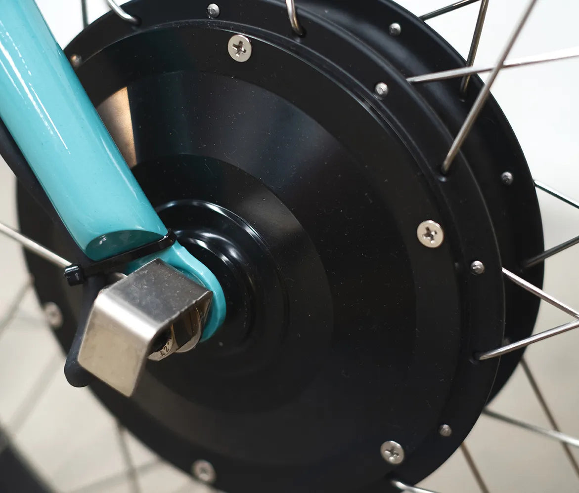 eZee Carro electric trike