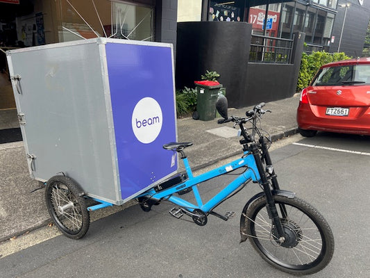 Radkutsche Musketeer Cargo Logistics Trike - Used