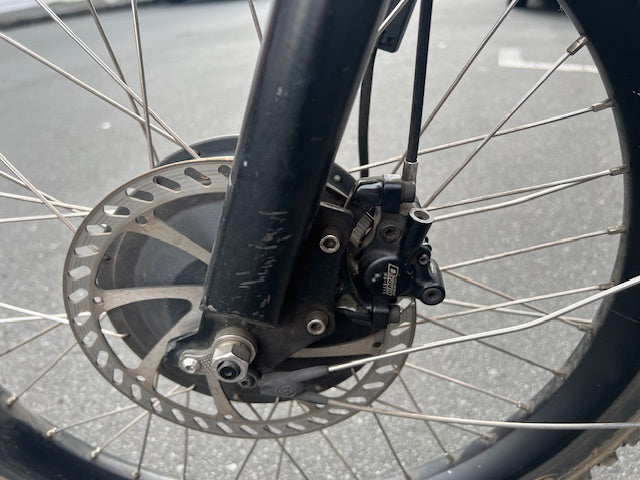 Radkutsche Musketeer Cargo Logistics Trike - Used