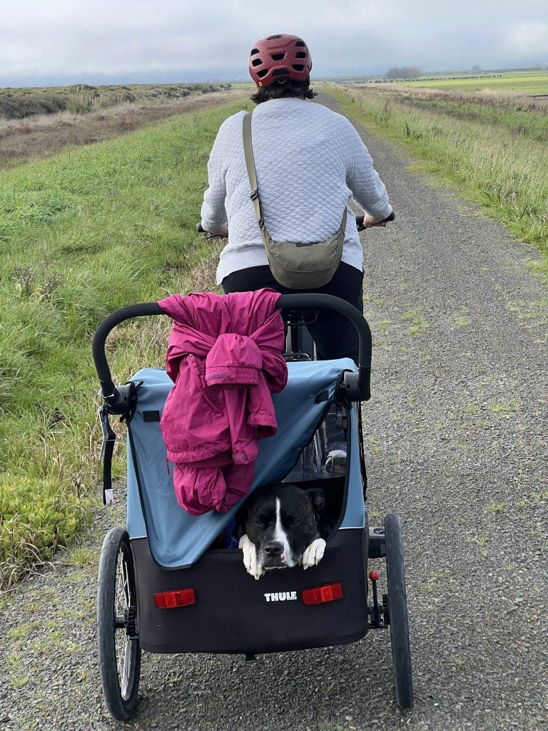 Thule Courier Trailer