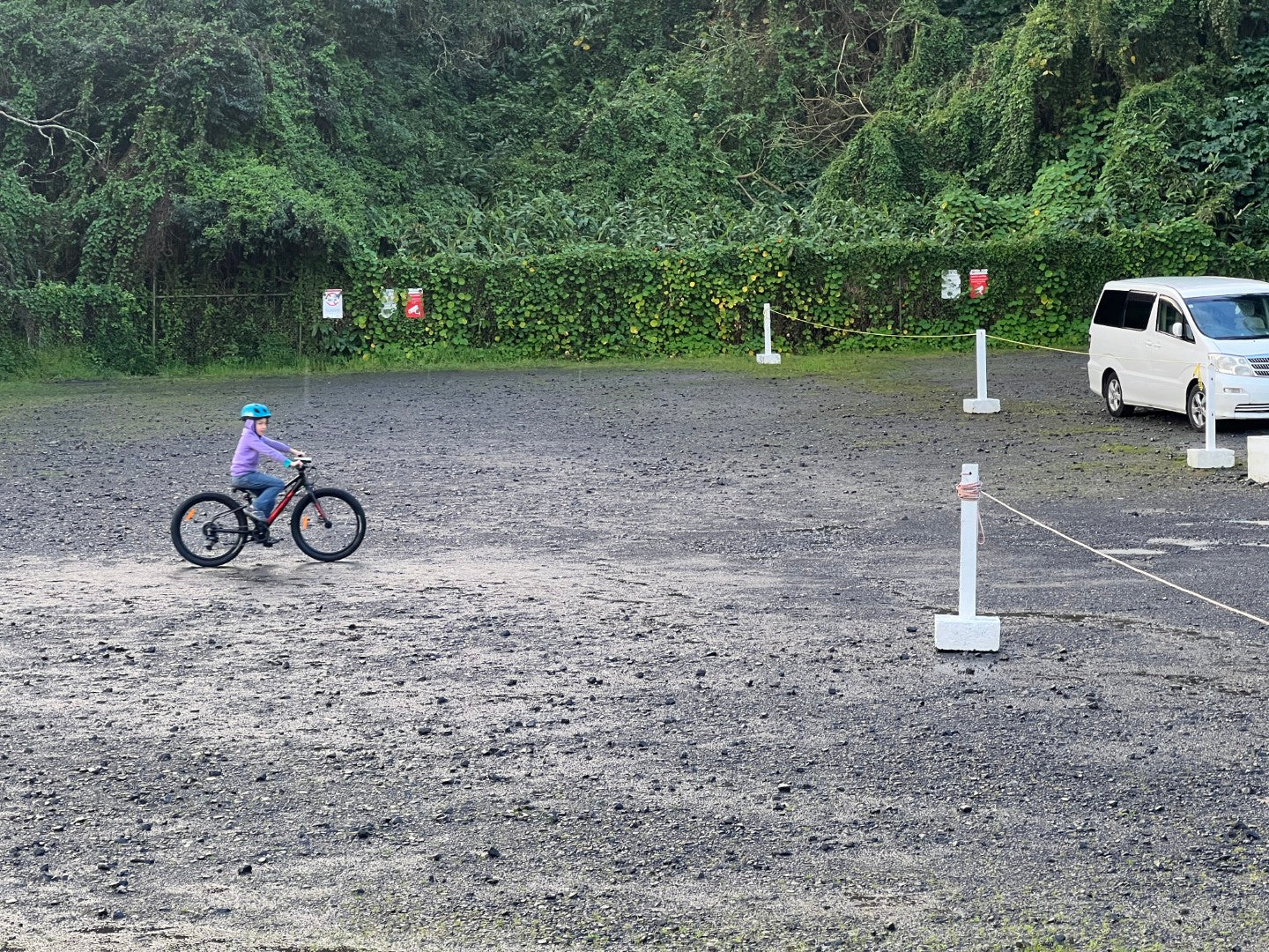 Apex Terrain 24" Kids Bike