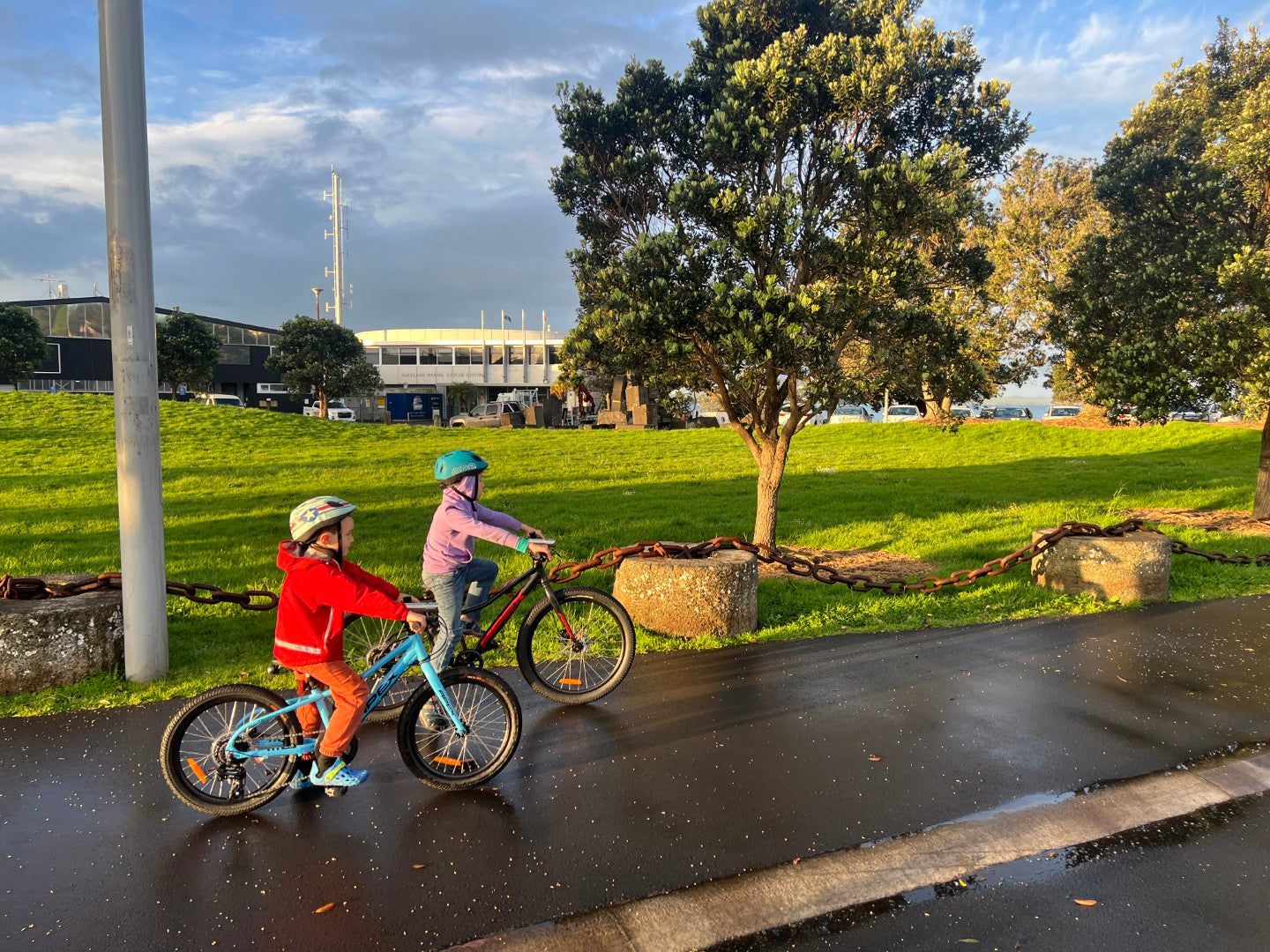 Apex Terrain 20" kids bike