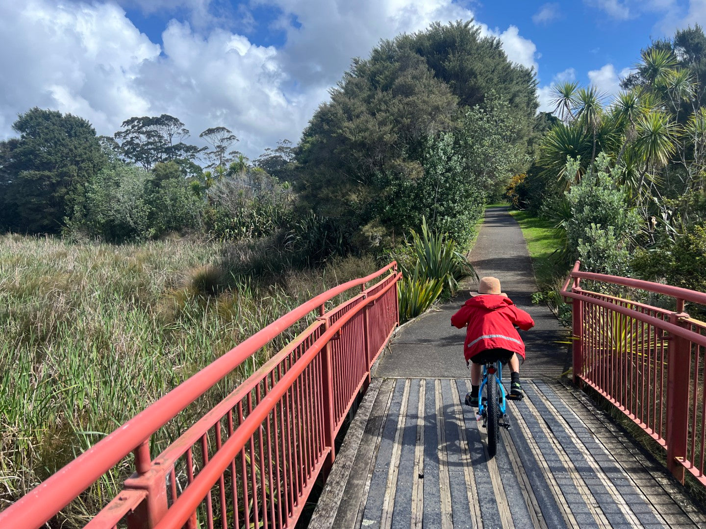 Apex Terrain 20" kids bike