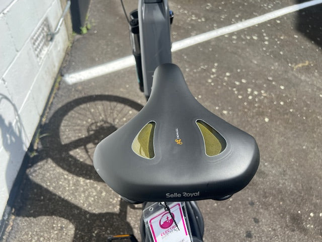 Gepida Berig 2020 - 43cm - used