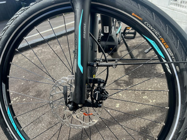 Gepida Berig 2020 - 43cm - used