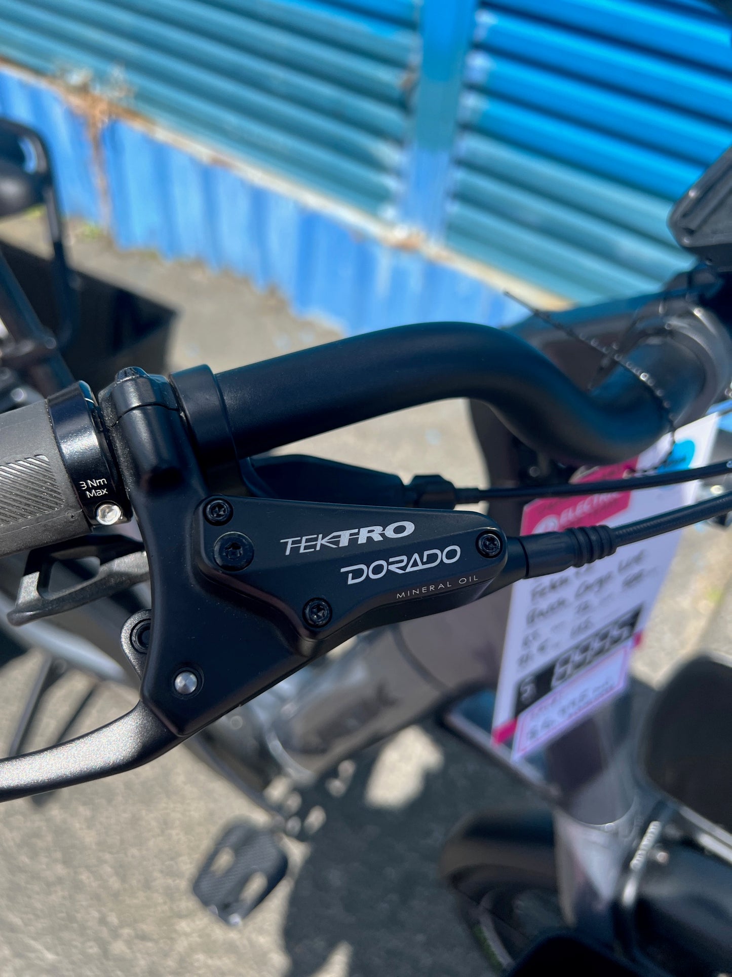 TREK Fetch Family - Used