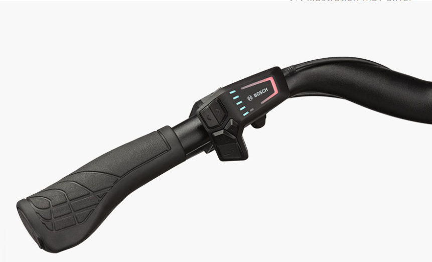 Riese and Muller Culture Mixte touring 50cm - Blossom