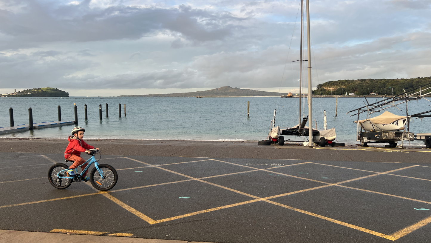 Apex Terrain 20" kids bike