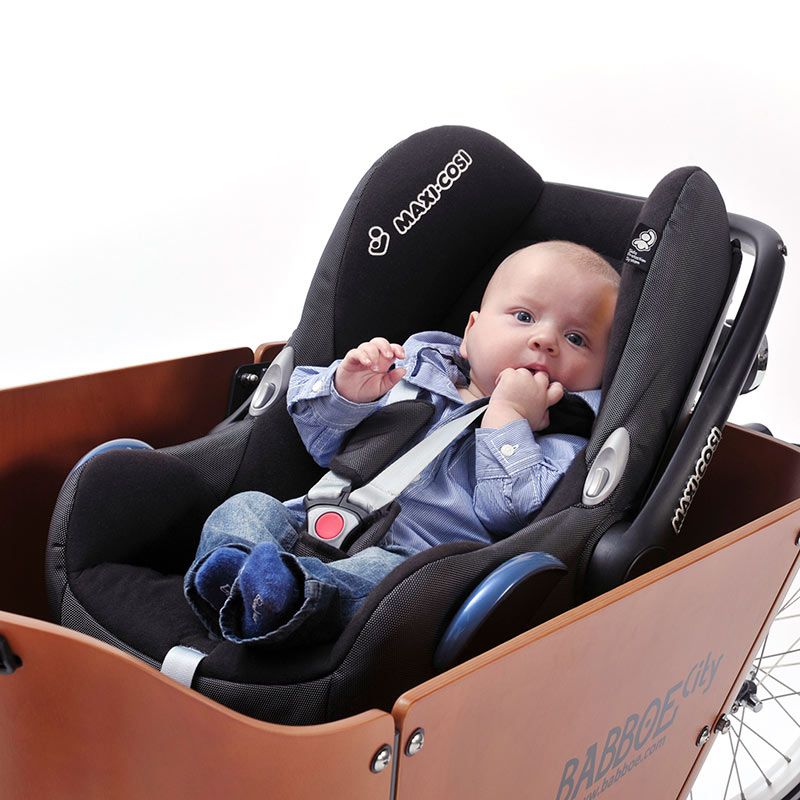 Steco Baby Along Maxi Cosi Holder