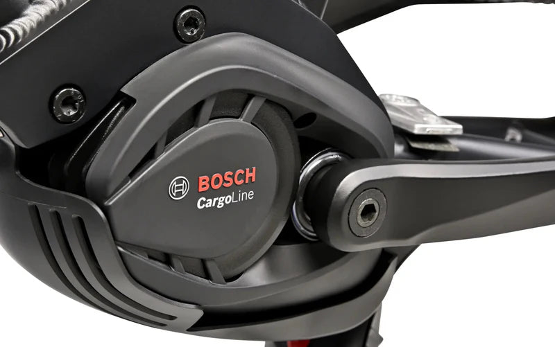 Gepida Cargo City E-Bike