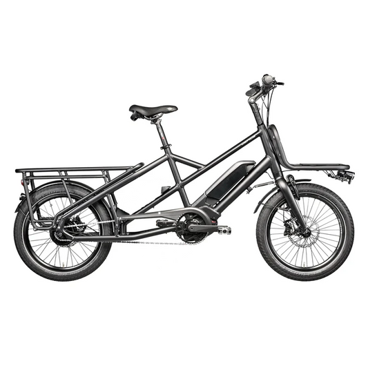 Gepida Cargo City E-Bike