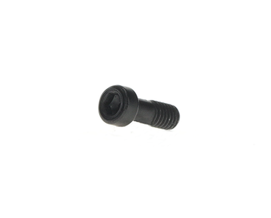 Bosch Purion 400 screw